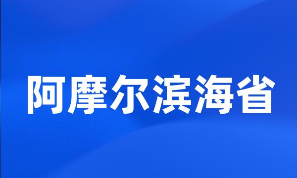 阿摩尔滨海省