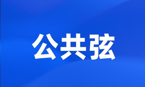 公共弦