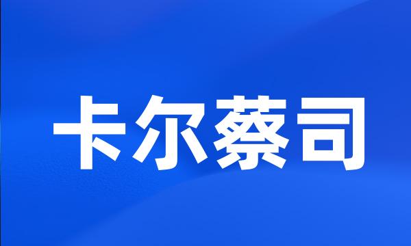 卡尔蔡司