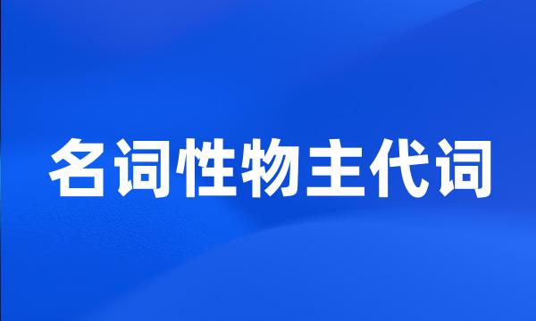 名词性物主代词