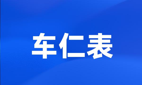 车仁表