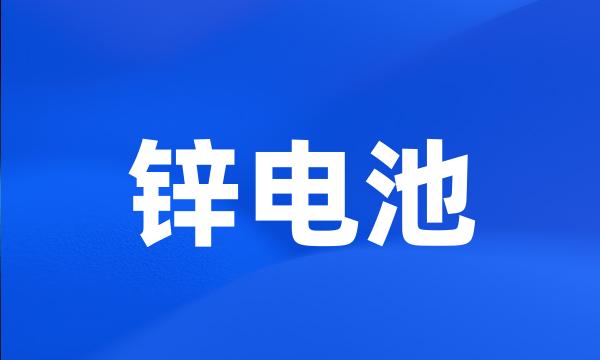 锌电池