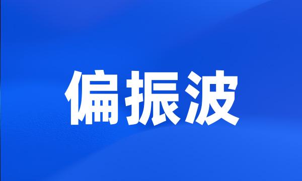 偏振波