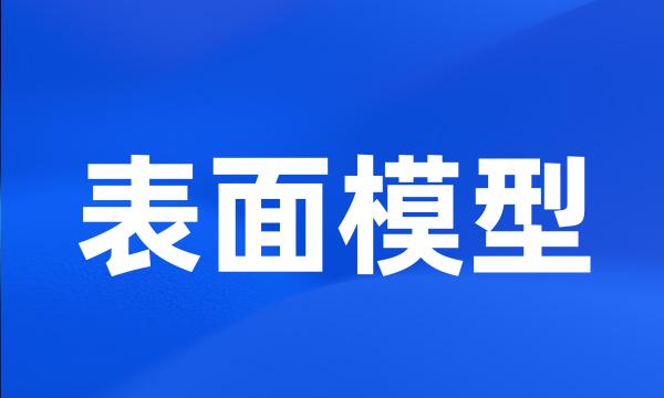 表面模型