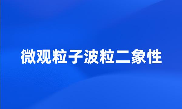 微观粒子波粒二象性