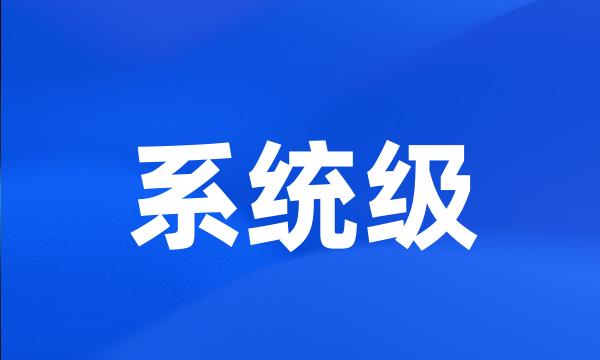 系统级