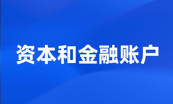 资本和金融账户