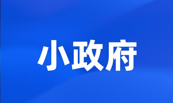 小政府