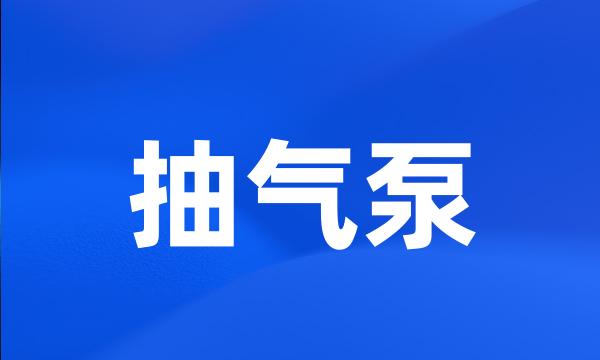 抽气泵