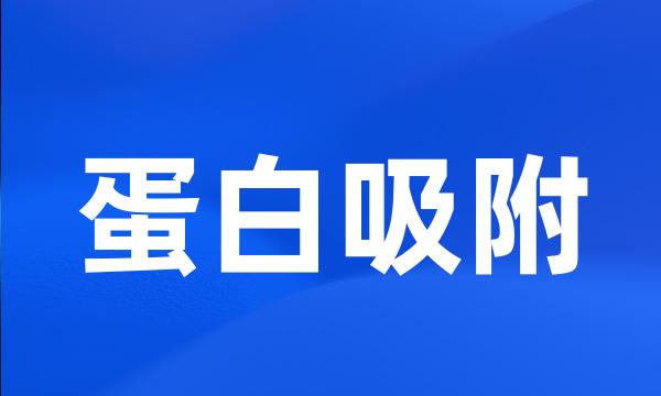 蛋白吸附