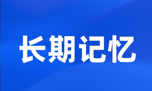 长期记忆