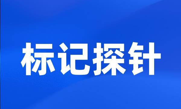 标记探针