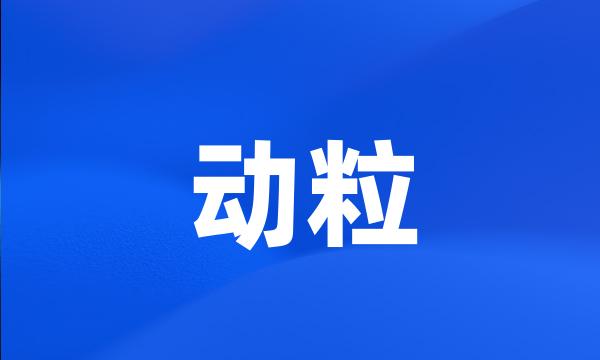 动粒