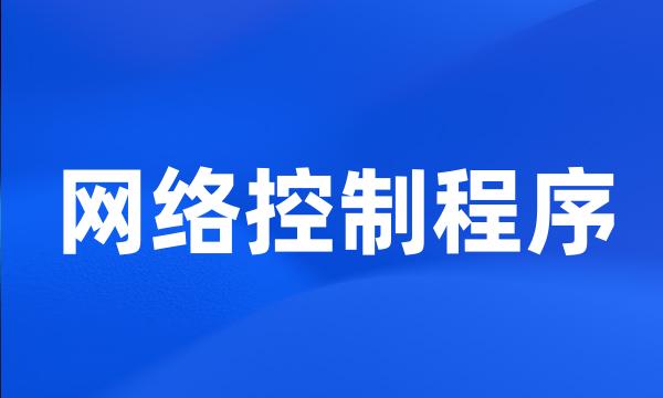 网络控制程序