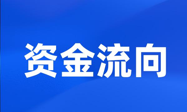 资金流向