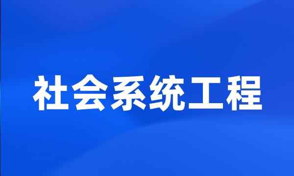 社会系统工程