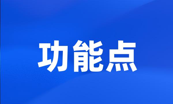 功能点