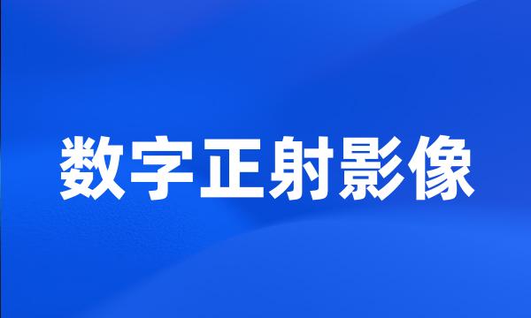 数字正射影像