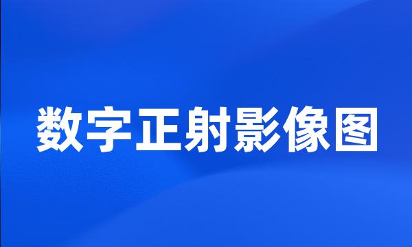 数字正射影像图