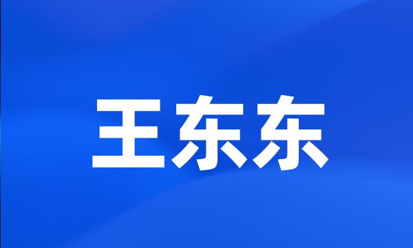 王东东